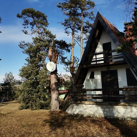 Vila Jovanovic Appartement Zlatibor Buitenkant foto